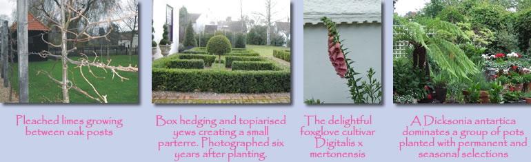 Garden Design covering Hertfordshire Bedfordshire Cambridgeshire. Graham Robson is based in Letchworth Garden City